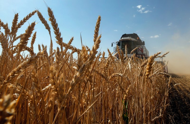 Аграрии Чечни намерены собрать рекордный урожай зерновых