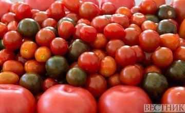 АЗЕРБАЙДЖАН. Россельхознадзор разрешил томаты с еще 5 азербайджанских предприятий