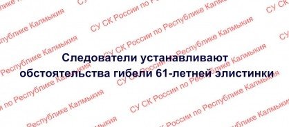 КАЛМЫКИЯ. Следователи устанавливают обстоятельства гибели 61-летней элистинки