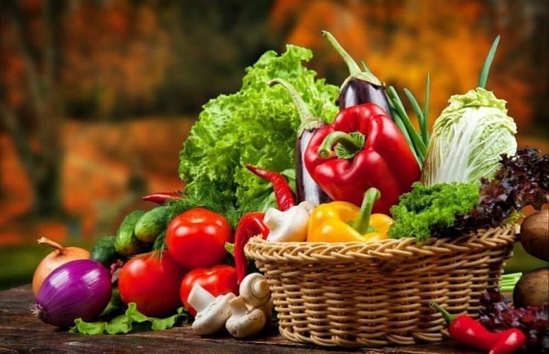 Россия возобновила ввоз овощей из девяти стран