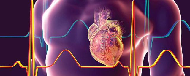 Кардиолог Сухарева: Учащенное сердцебиение, одышка и отечность могут говорить о проблемах с сердцем