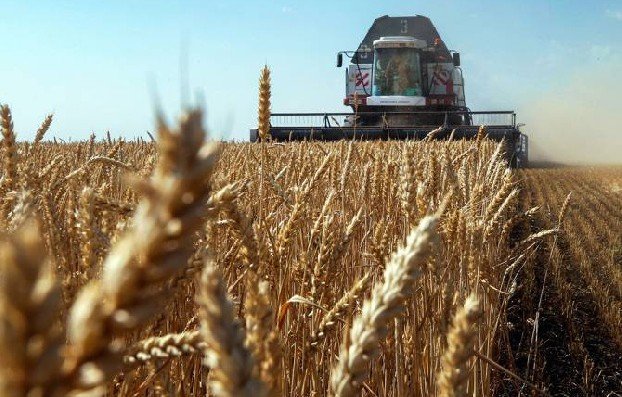 В Турции заявили о создании операционного центра по вопросу зерна
