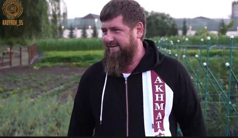 ЧЕЧНЯ. Рамзан Кадыров организовал масштабный сбор урожая