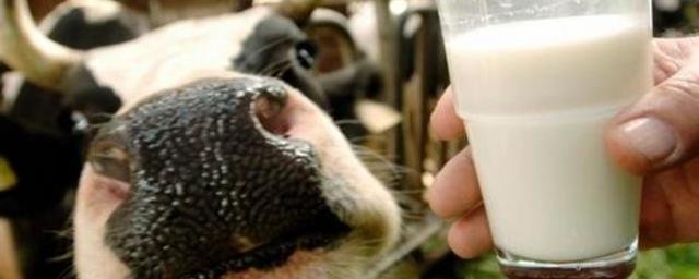 WeChat: ежедневное употребление молока повышает риск развития рака на 7%