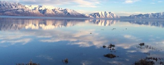 Климатические изменения привели к усыханию арктических озер