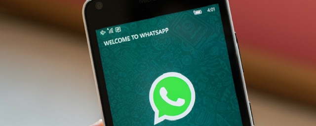 WhatsApp начнет рассылать пользователям опросы для улучшения работы мессенджера