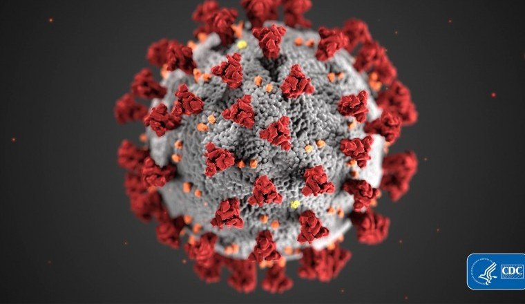 ЧЕЧНЯ. В ЧР выявлено 8 случаев заражения коронавирусом