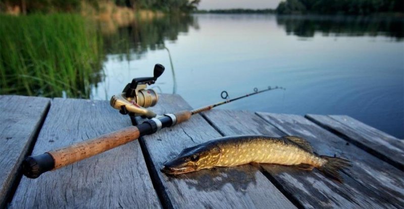 ЧЕЧНЯ. В Грозном выбрали лучших рыбаков региона