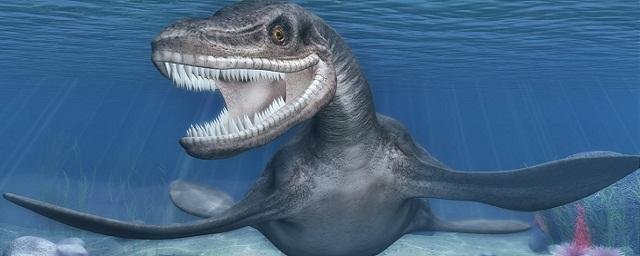 В Вайоминге обнаружили останки древнего плезиозавра с мордой крокодила и шеей змеи