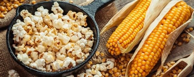 Американские биологи вывели высокобелковый сорт кукурузы, из которой получается полезный попкорн