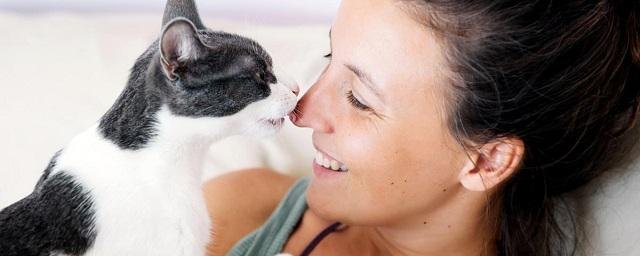 Британские ученые рассказали, как наладить контакт с кошкой с помощью взгляда