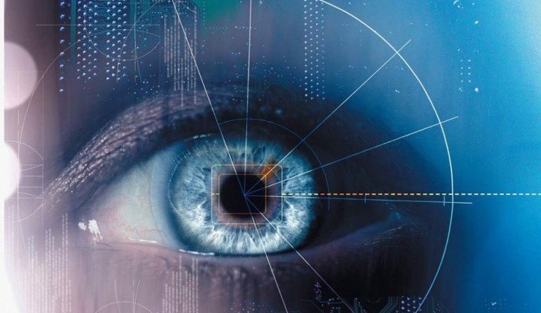 Исследователи из Университетского колледжа Лондона создали мини-сетчатку глаза