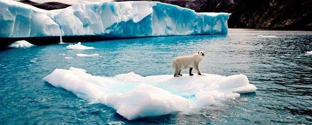 Guardian: Арктике угрожает исчезновение льда в летние месяцы