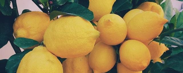 Лимон может стать причиной язвы и камней в почках