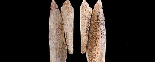 Ученые выяснили, что могильные подвески, обнаруженные в Карелии, сделаны из человеческих костей