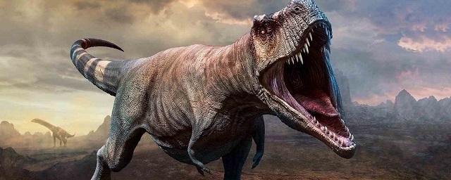 Группа ученых усомнилась в том, что тираннозавры грызли кости жертв