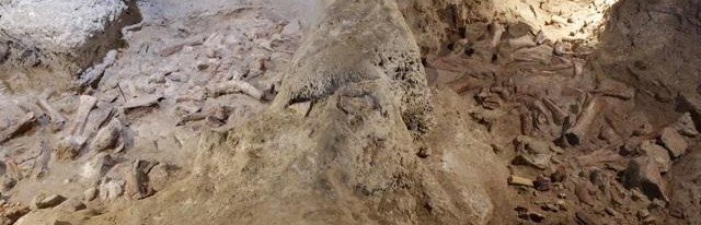 Археологи нашли в Северной Британии останки человека возрастом 11 000 лет