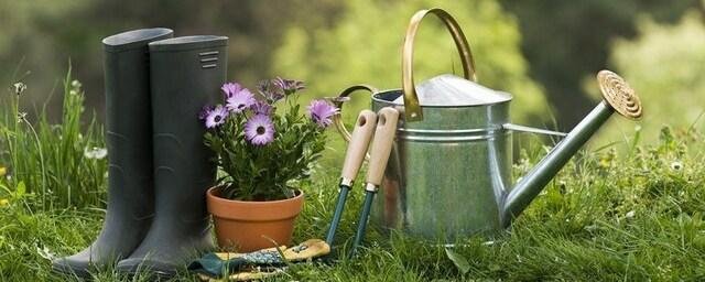 Учёные Колорадского университета: занятие садовыми работами является эффективной профилактикой рака