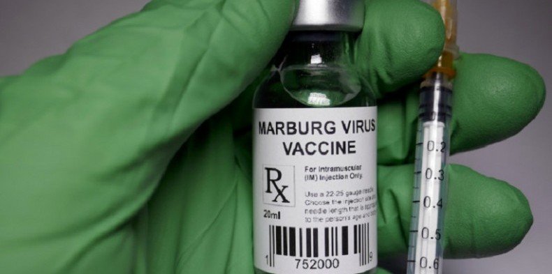 Ученые разработали вакцину против смертельно опасного вируса Марбург