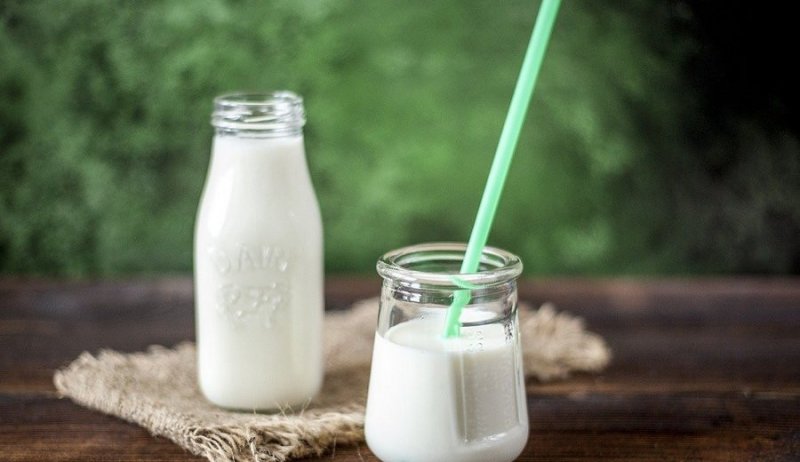 В РФ создана технология производства молока из конопли