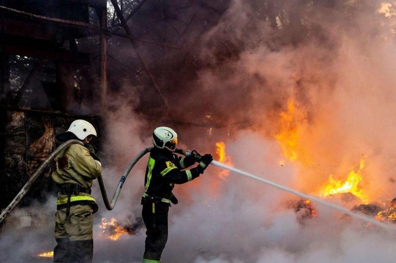 СЕВАСТОПОЛЬ. В Севастополе назвали поразительное число пожаров в городе