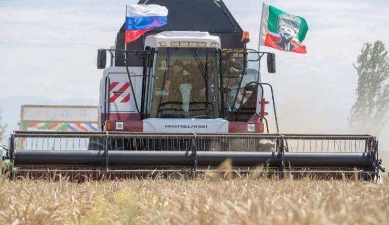 ЧЕЧНЯ.  По итогам 2021 года  и республике собран рекордный урожай зерна
