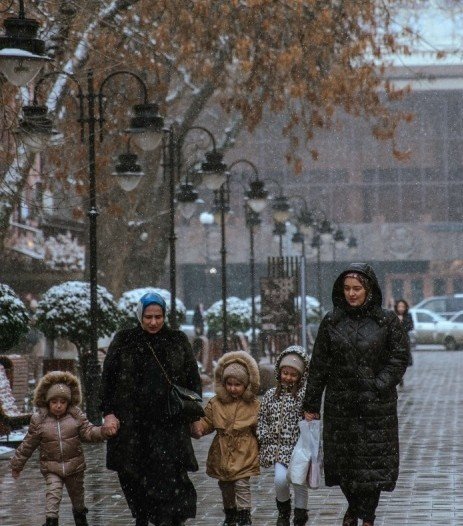 ЧЕЧНЯ. В ЧР ожидаются осадки в виде дождя и мокрого снега