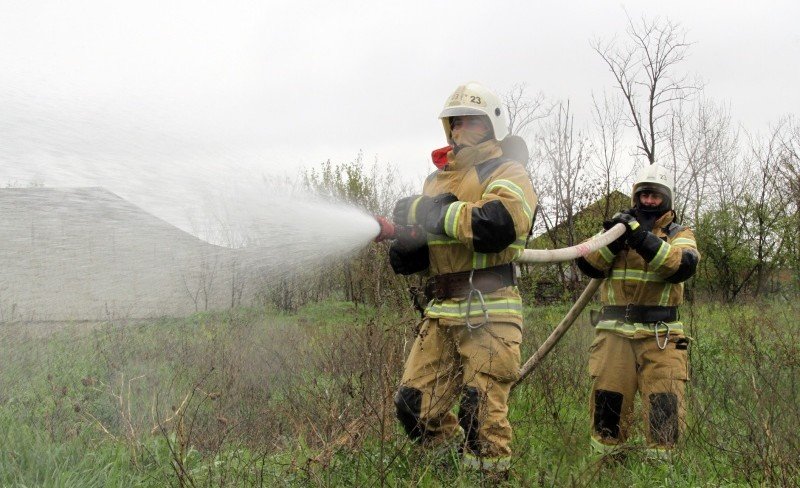 ЧЕЧНЯ. В ЧР проведут превентивные мероприятия по профилактике пожаров в лесном фонде