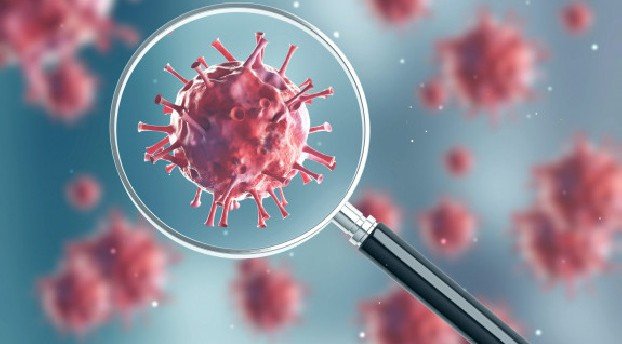 Новую вспышку коронавируса зафиксировали в Китае