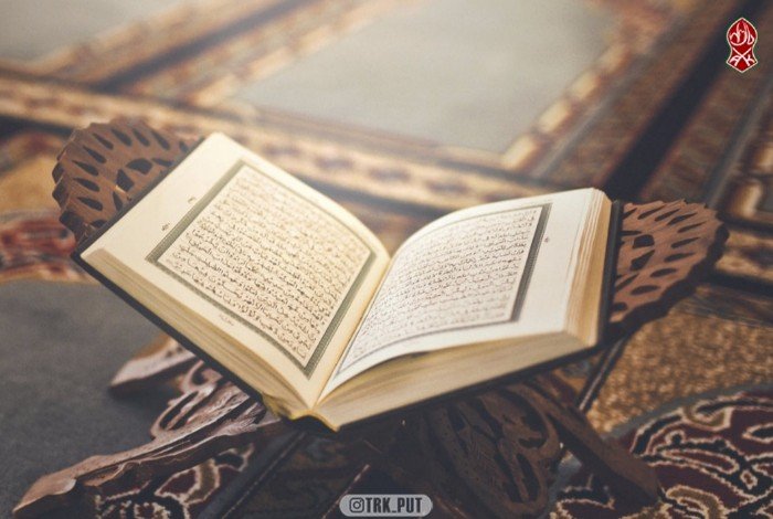 Арабский мир осудил акт сожжения Корана в Швеции