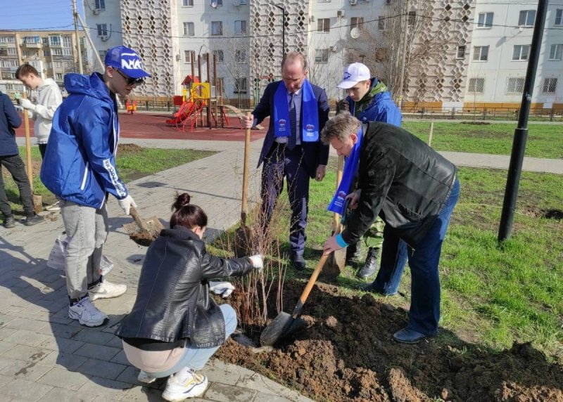АСТРАХАНЬ. Представители регионального отделения партии «Единая Россия» высадили деревья в сквере возле СОШ №9