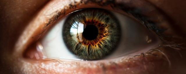 Австралийские психологи научились выявлять отсутствие фантазии по глазам
