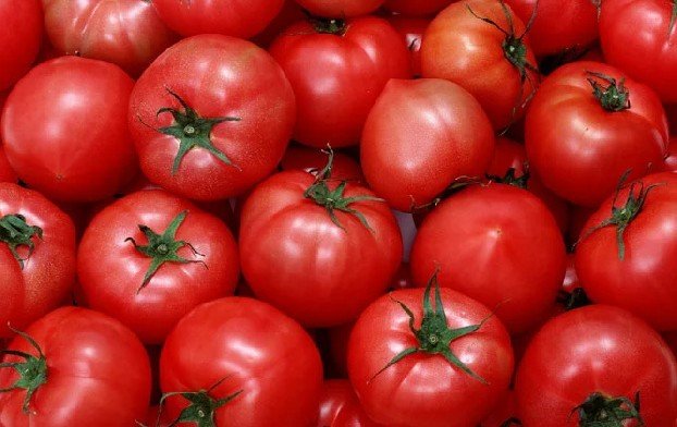Азербайджанские помидоры не пустили в Россию