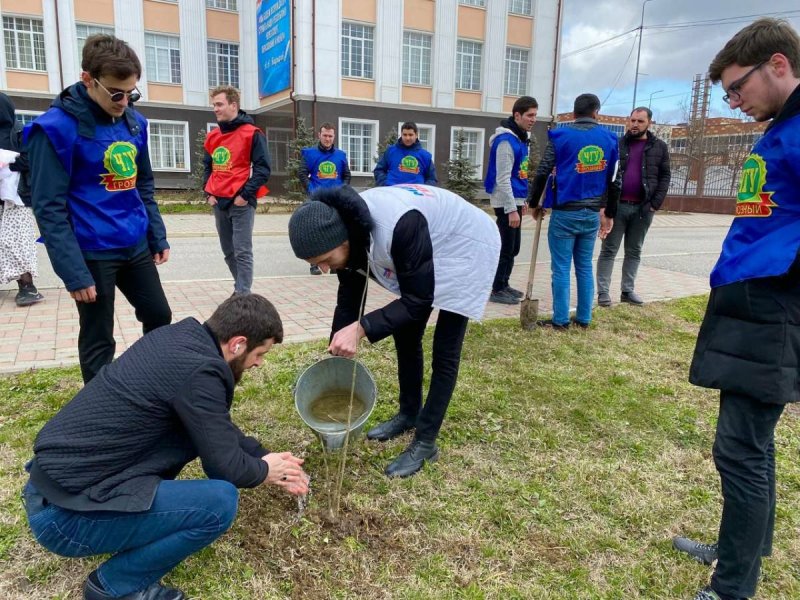 ЧЕЧНЯ. Чеченские молодогвардейцы приняли участие в Международной акции «Сад Памяти»