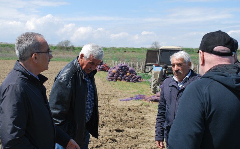 ДАГЕСТАН. Глава Сулейман-Стальского района изучил агропромышленный потенциал овощеводческих хозяйств