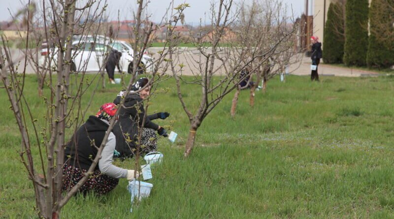 ЧЕЧНЯ.  Общегородской субботник в Минавтодоре