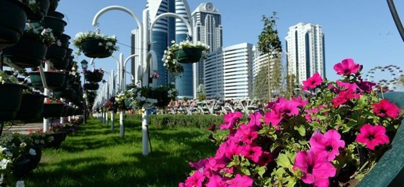 ЧЕЧНЯ. Улицы и скверы чеченской столицы украсят свыше 140 тысяч цветов