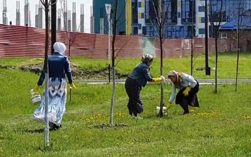 ИНГУШЕТИЯ. Сотрудники мэрии столицы Ингушетии провели очистку территорий