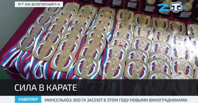 КРЫМ. Открытый турнир Белогорского района по киокушин прошёл в пгт Зуя