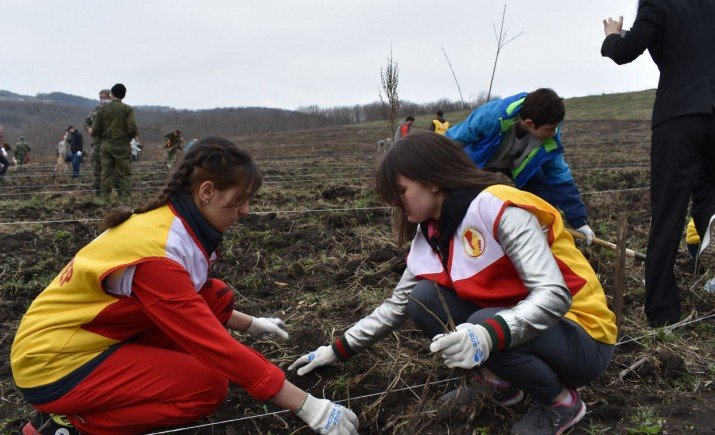 С. ОСЕТИЯ. В Северной Осетии высадили миллионное дерево акции "Сад памяти"