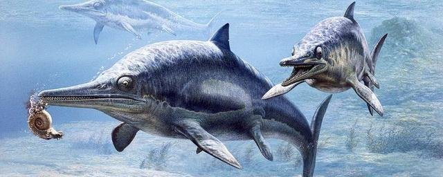 В Германии обнаружены мягкие ткани ихтиозавров возрастом 150 миллионов лет