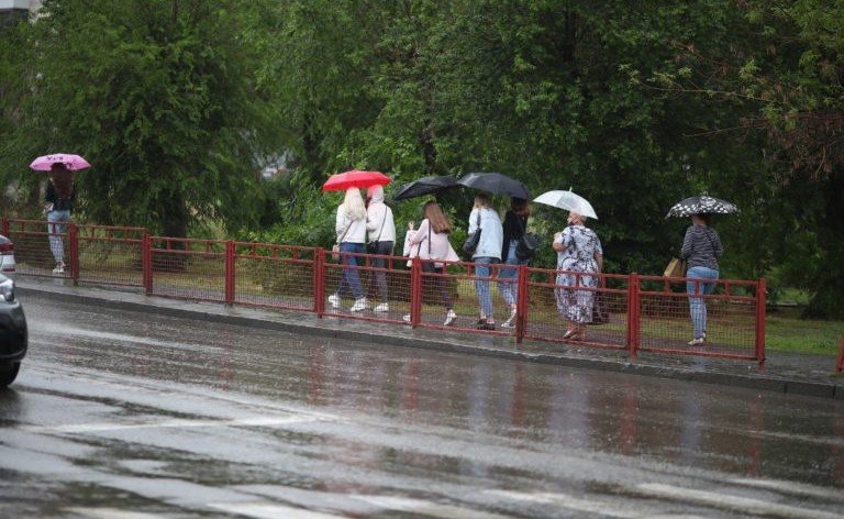 ВОЛГОГРАД. Дожди и ветер при +15 градусах ожидаются в Волгограде и области