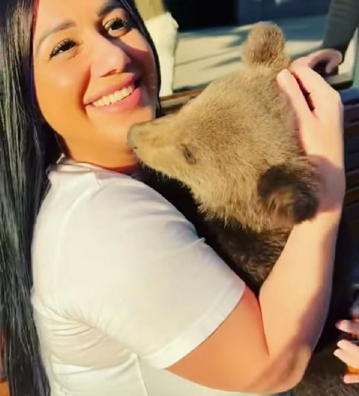 ЧЕЧНЯ. В сети распространилось видео, на котором в Грозном девушку укусил медвежонок.