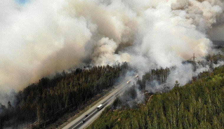 В России зафиксировали 65 очагов лесных пожаров