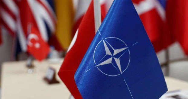В США призвали исключить Турцию из НАТО из-за политики страны