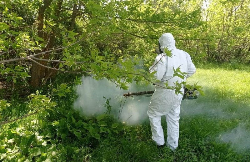 ВОЛГОГРАД. 164 водоёма обработают от комаров в Волгоградской области