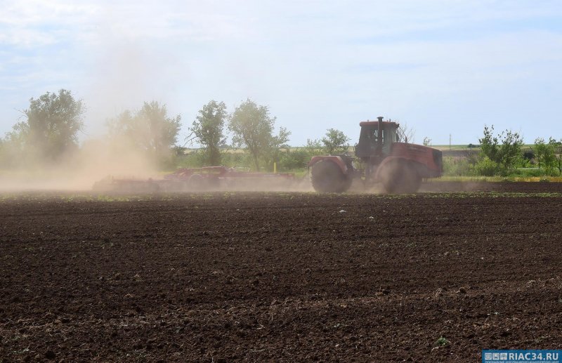 ВОЛГОГРАД. В Волгоградской области засеяли яровой пшеницей 64 тысячи гектаров