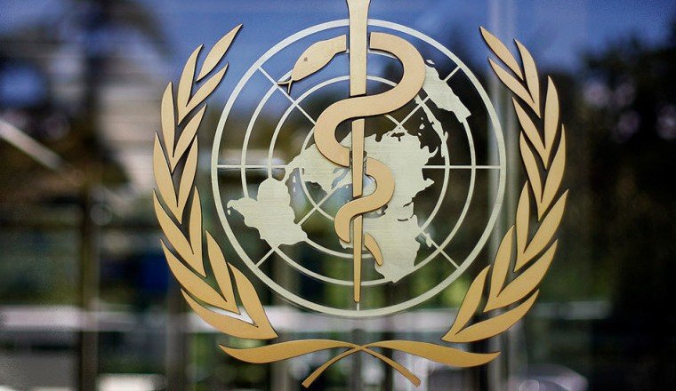 Всемирная организация здравоохранения  заявила о 80 подтвержденных случаях оспы обезьян в 11 странах