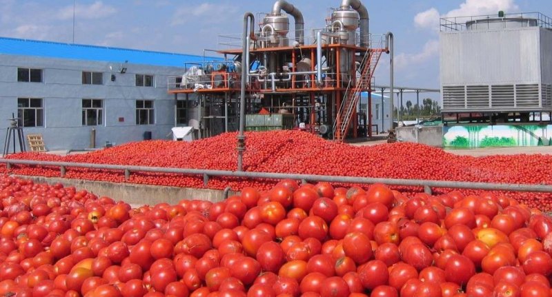 АСТРАХАНЬ. На астраханском заводе томатной пасты произошел пожар