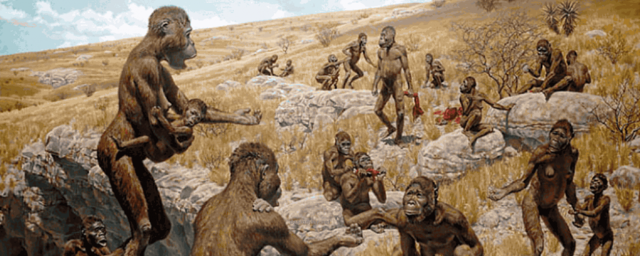 Британские ученые узнали, чем Homo sapiens отличается от других гоминидов